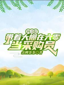 四合院穿越六零璀璨人生