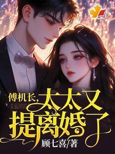 太太又提离婚了免费阅读