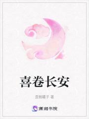 喜卷长安城 电视剧