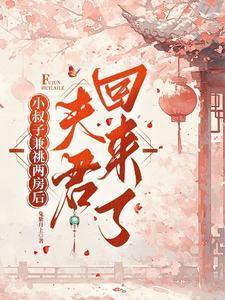 夫君回来了(完结)