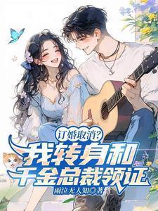 订婚取消我转身和千金女总裁