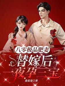 替嫁后一夜孕三宝免费