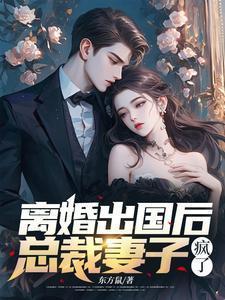 总裁妻子疯了txt