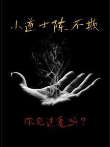 小道士陈不欺女主