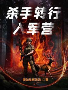 杀手转行入军营原著叫什么名字