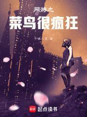 网游之菜鸟玩家怎么样