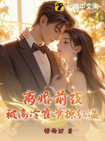 第一章离婚霍司爵要回来了