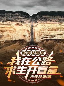 收美女图鉴
