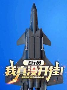我是飞行员