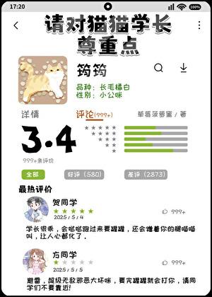 请对猫猫学长尊重点全文免费阅读