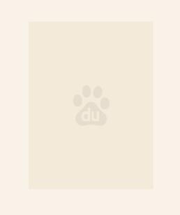 绝世炼丹师动漫免费观看