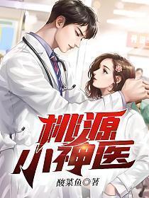 许凡桃源小神医