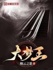 大梦王妃免费阅读