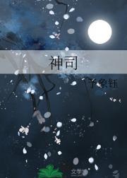 神司马懿极略