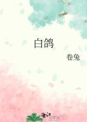 白鸽乌鸦是什么歌