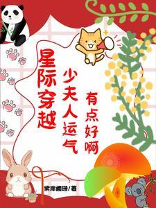 少夫人运气有点好啊紫岸阑珊 / 著