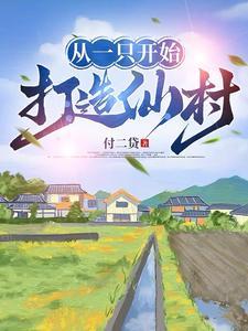 从一只鸡开始打造仙村TXT