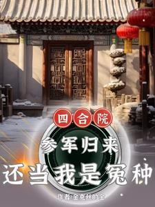 四合院参军归来