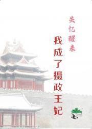 失忆后我成了摄政王妃 百度