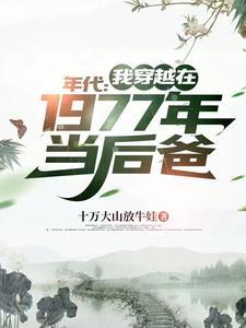 穿越到1977年考上清华的