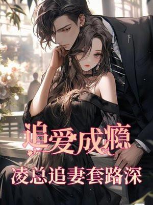 男主角叫凌追的