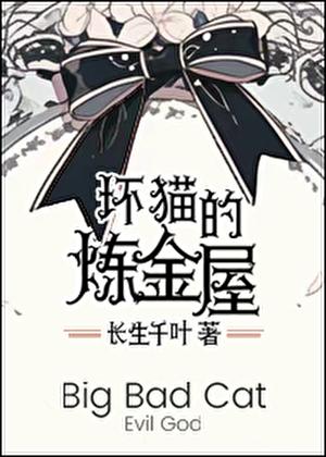 坏猫猫漫画最新版