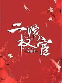 二嫁权宦讲的什么故事