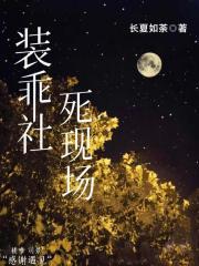 装乖讲的是什么