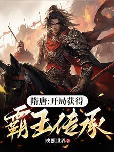 隋唐开局投资了霸王