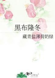 黑布隆冬是不是成语