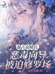 恶毒向导被迫修罗场免费