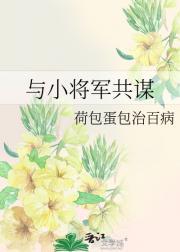 与将军是谁?
