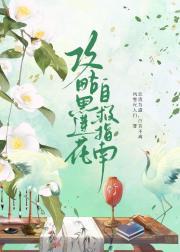 攻略黑莲花攻略手册