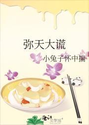 弥天大谎的弥什么意思