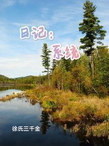 日记系统女主有副本(双重生)