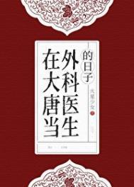 在大唐当外科医生的日子番外