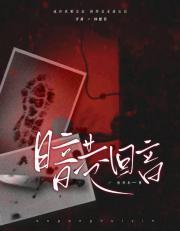 京巷有回音免费阅读