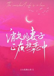 消失的妻子正在热恋中免费观看