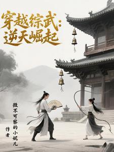 穿越综武世界的