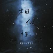 相似性是什么意思