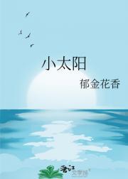 小太阳功率一般多大