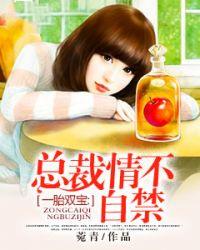 一胎双宝总裁宠妻超给力