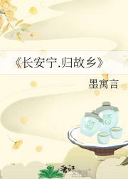 长安归故里全诗原文