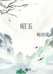 昭玉劫全文阅读