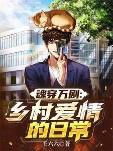 穿越乡村爱情世界的