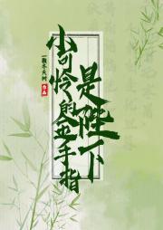小可怜手握爽文剧本全文番外