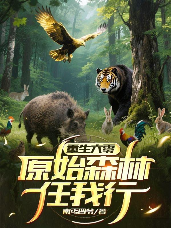 重生六零圆美人生