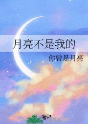 月光是什么意思