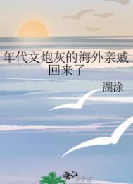 年代文炮灰的海外亲戚回来了(湖涂)晋江