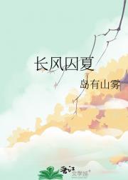作者长风作品集